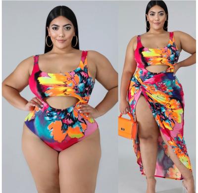 China Polychromatic Amazon Hit Breathable Beach Pool Plus Size Sexy Women Swim Wear Bikini Girl for sale