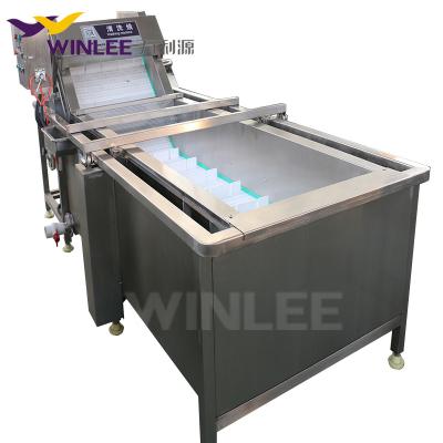 China High Efficiency Bubble Vegetable Cleaning Herbal Washing Machine Customized Machine Fruit and Vegetable Washing Machine for sale