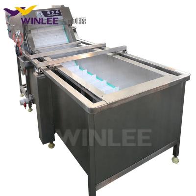 China Automatic Vegetable and Fruit Fruit and Vegetable Machine Bubble Wash Chilli Cleaning Machine for sale