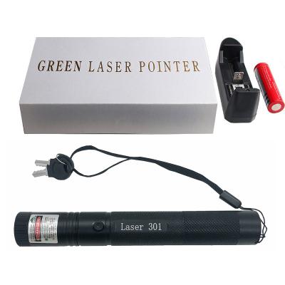 China Cat Dogs Toys Pointer Laser 301 Green Laser Indicator High Power With 18650 Battery Rechargeable Bottom Indicator for sale