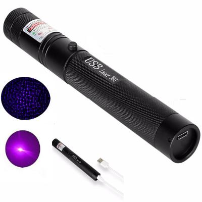 China Cat Dogs Play Laser Pointer 303 Red Green Blue Stars Beam Pointer Cat Laser Pointer for sale