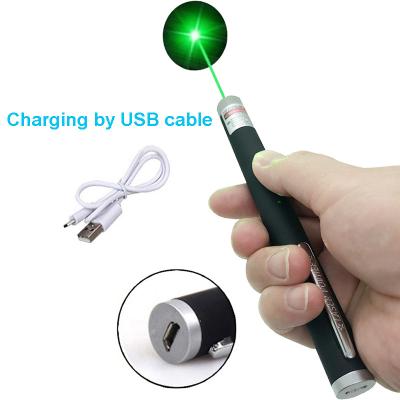 China Cat Dogs Toy Laser Green Indicator With Red Green Blue Indicator 650nm 532nm 405nm Cat Toy Laser Pointer USB Charging Laser for sale