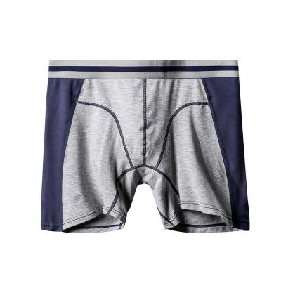 China Transparent Sexy Bikini Panties Briefs Sports Wear Modal Inner Men's Breathable Underwear for sale