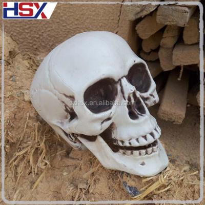 China Wholesale Realistic Halloween Props Resin Skull Adult Life Size Human Bonelike Head for sale