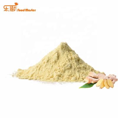 China Factory Price Dry Water Soluble Ginger Seasoning Powder For Sauce for sale