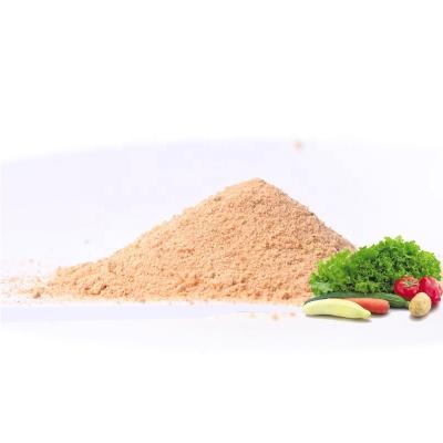 China Dried Fresh Vegetable Dried Seasoning Powder for sale