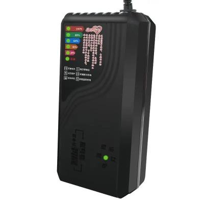 China Smart Car Battery Charger 48V60ah Lead-Acid Pulse Charger PC Fireproof Material 15W/10W/7.5W/5W Automatic Identification for sale