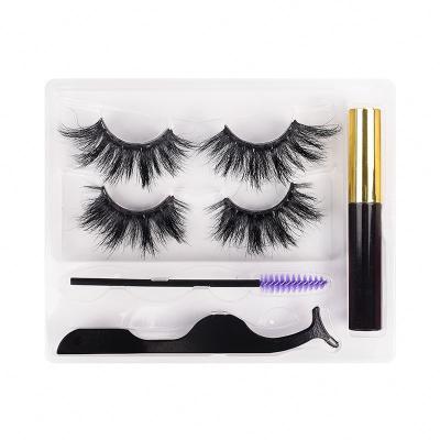 China Magnet 2pairs 10 Mink Magnetic Cluster Eyelashes Wholesale Natural Reasonable Prices 25mm for sale