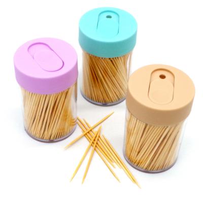 China Disposable Chinese Bamboo Toothpicks Packed In Tooth Pick Colorful Plastic Bottle for sale