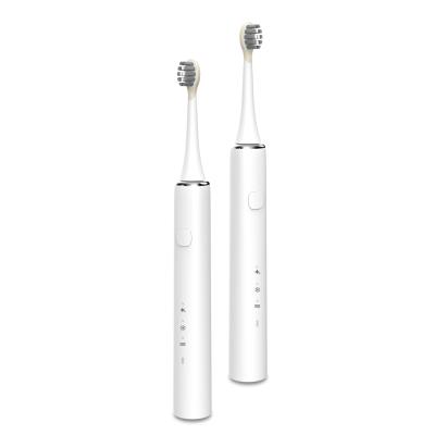 China original ipx7 automatic chargeable dental whitening innovative deep clean electric toothbrush 800mAh eco friendly for sale