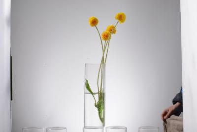 China Candle holder,  Heat-resistant  glass, borosilicate glass, decorative glass, hanging ball, flower vase for sale