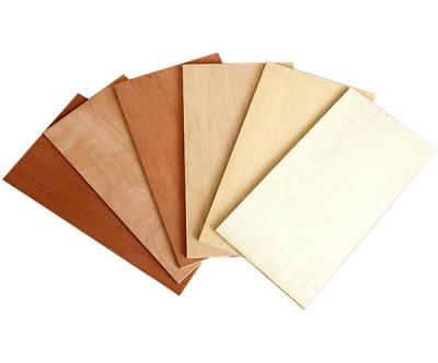 China Modern Treated hardwood plywoods eucalyptus 1/2 white laminated marine plywood 4x8 for sale for sale