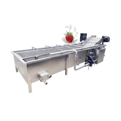 Chine fruit and vegetables bubble cleaning and washing machine conveyor fruit washing machine à vendre