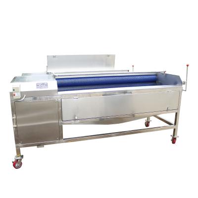 中国 Stainless Steel Washer And Peeling Machine Brush Model Applicated In Root Vegetables And Fruit 販売のため