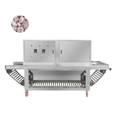 China Electric Garlic Peeler Processing Machine Energy Saving And Convenient Cleaning en venta