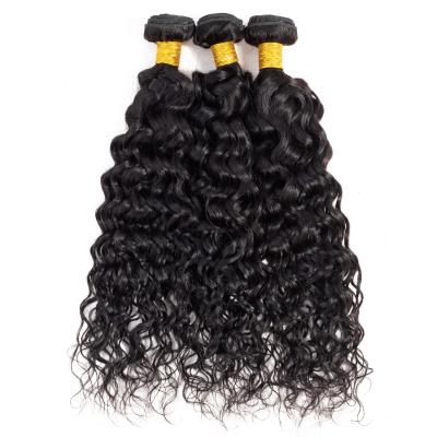 China Soft Water Wave Silky Straight 100% Virgin Hair 3 Bundles With 4*4 A Closure 12A Grade Sheer Brazilian Remy Hair 2 Inches Longer for sale