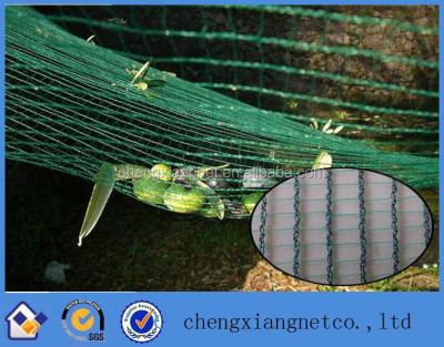 China 100%HDPE Olive Falling Fruit Harvesting Nets for sale