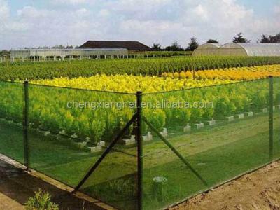 China Agriculture use windbreak mesh netting protects gardens, crops from destructive winds for sale