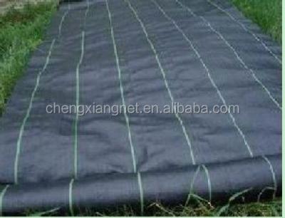 China Weed Growth HDPE /PP Ground Cover /Weed Mat / Weed Control Net for sale