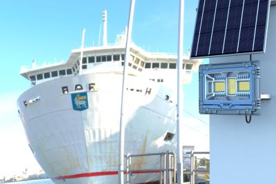 China 515LM RGB LED Flood Light Customized Bluetooth Outdoor Flood Lights Intelligent for sale