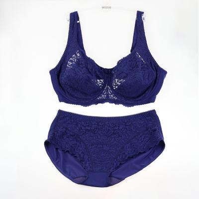 China BEIZHI Viable Comfortable Plus Size Transparent Lace Lingerie Lace Underwear Set for sale