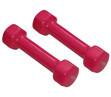 China Gym Dumbbell for Female for sale