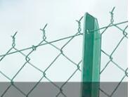 China Chain Link Fence Posts Line Posts Terminal Posts - End Posts Corner Posts And Gate Posts for sale