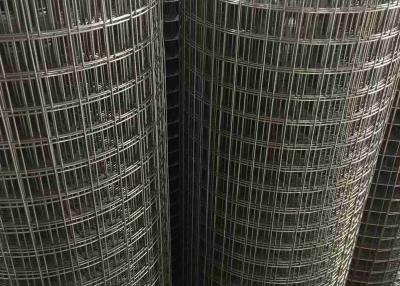 China Stainless Steel 304 And 316 SS Welded Wire Mesh 1 Mesh 2 Mesh for sale