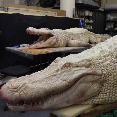 China Life Size Animal Park Realistic Animal Statue Motion Sea Animal Crocodile Model Animatronic Ornament For Sale for sale