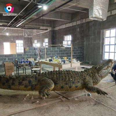 China Realistic Motion Museum Chinese Alligator Animatronic Animal Model For Sale for sale