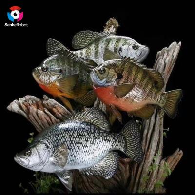 China Realistic Motion Marine Animal Simulation Fish Model Life Size Animatronic for sale