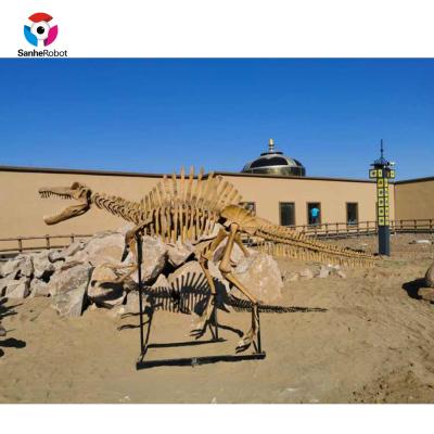 China Fiberglass Shipping and Handling - FF154 Vivid Dinosaur Museum Quality Skeleton Dinosaur Fossil Guarantee for sale