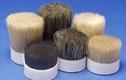 China boiled bristles for sale