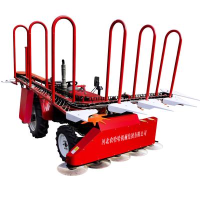 China New Design Maize Machine 4G-2.2C Agricultural Corn Stalk Harvester Straw Harvester for sale