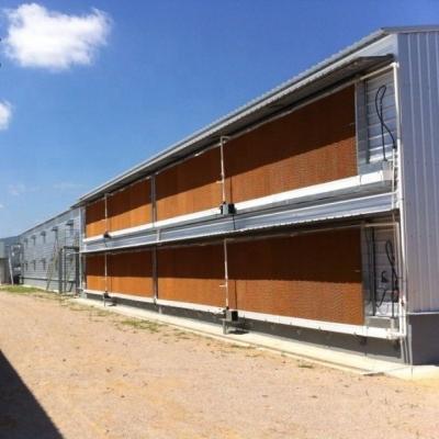 China Modern Environmental Prefab Light Steel Structure Poultry Housing Construction for sale