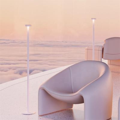 China Modern Portable Rechargeable Battery Light Fixture Floor Lamp for sale