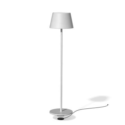 China Modern Scandinavian Art Designer Led Hotel Living Room Bedroom Modern Long Neck Floor Lamp for sale