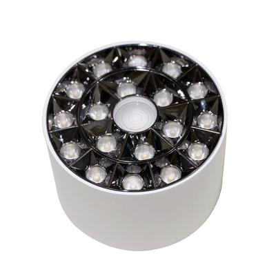 China OKELI High Lumen COB 8w 14w 20w Indoor Outdoor Mounted Spot Lamp Anti-glare Modern LED Living Room Hotel for sale