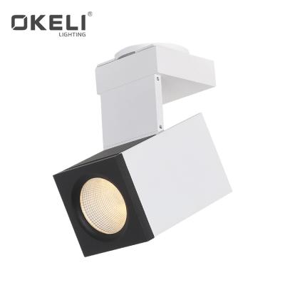 China Modern OKELI Lamp Long Lifespan Indoor Aluminum Body 15w 20w Led Spot Outdoor Lamp for sale