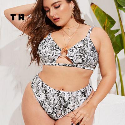 China Summer Swimwear Women Breathable Snake Print Bikinis Set Pump Padded Bra Beach Bikini Set High Waist Plus Size Swimsuit for sale