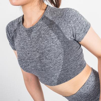 China Breathable Hot Sale Shorts Sleeve Top Womens Seamless Yoga Tops Activewear In Stock for sale