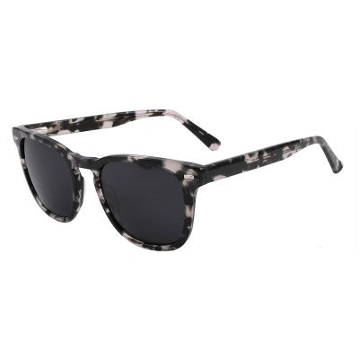 China Popular Fashion Sunglasses TY092 Factory Brand Cat Eye Sunglasses Men Polarized for sale