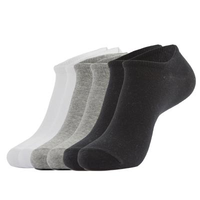 China Wholesale Women Sporty Men's Unisex Simple Solid Summer No Show Stockings Cut Invisible Cotton Socks for sale