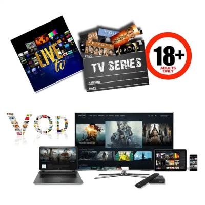 China Reseller Panel IPTV Subscription 12 Months with iptv m3u support android and smart tv all device Iptv for sale