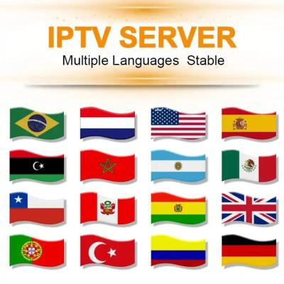 China IPTV HD 4k m3-u subscription for six 12 months iptv code panel reseller subscription with 235 free trial for sale