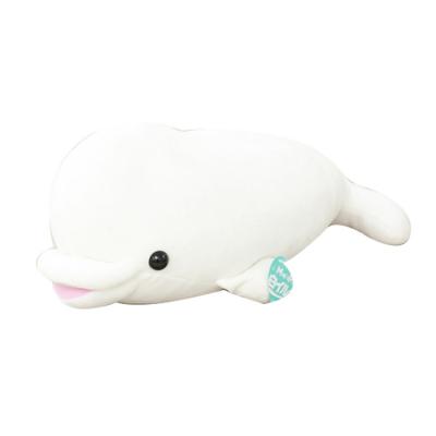 China Custom Plush Stuffed Animal Plush Stuffed Toy Whale / Shark Sea Water Toys for sale