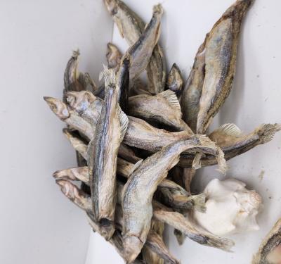 China Low Sugar Pet Food Freeze Dried Capelin Fish for sale