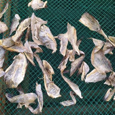 China Viable dry skin of cod skin pollock for sale