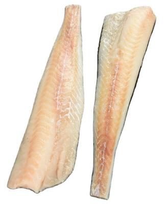 China Alaskan low sugar frozen hake wrapped in an IQF band for sale