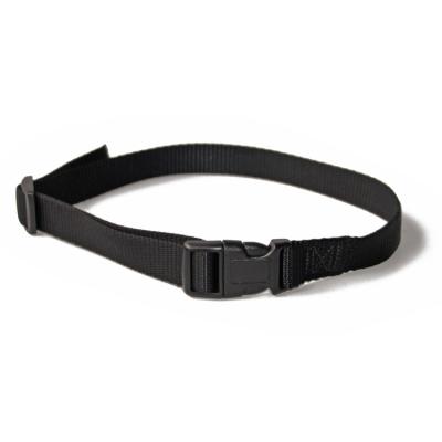 China Cheap Viable Price Stock Classic Design Black Single Strap Nylon Dog Collar For Training Dog for sale